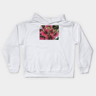 pink leaves in the garden Kids Hoodie